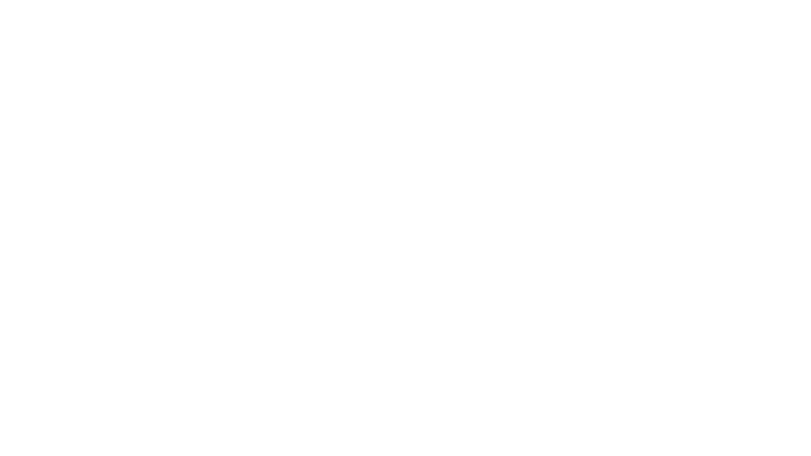 MovieCopter Logo Weiß Drohne DJI Inspire2